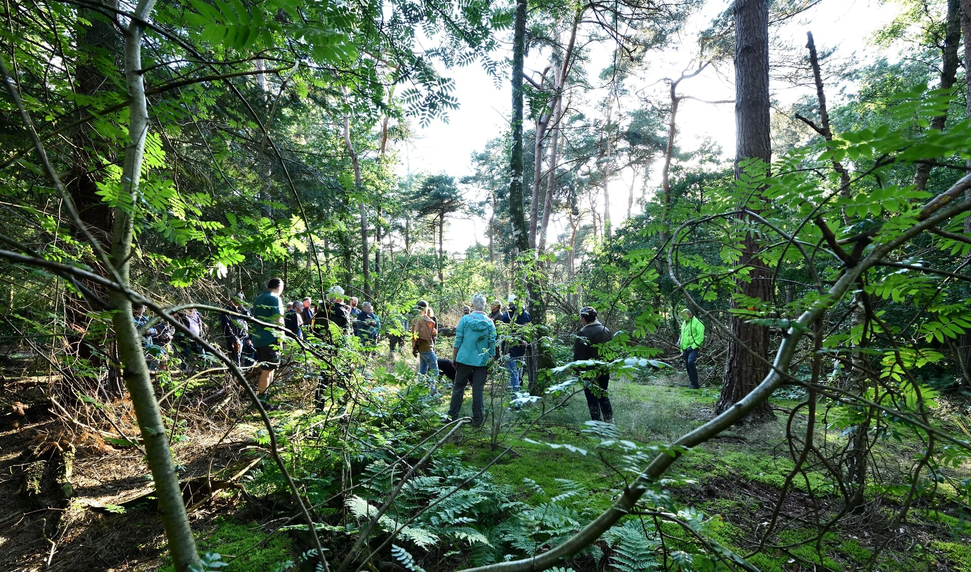 Werkzaamheden in het Sonse Bergen bos gaat door zoals gepland (archieffoto) 