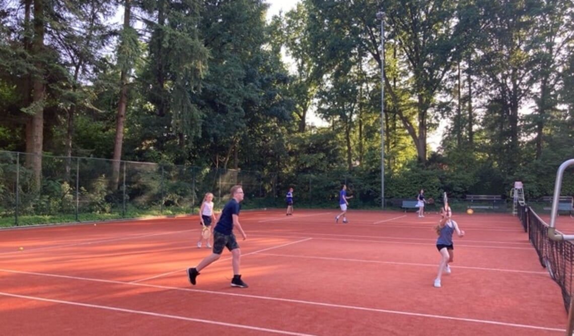 <p>De huldiging vond plaats tijdens een gezamenlijke activiteit </p>