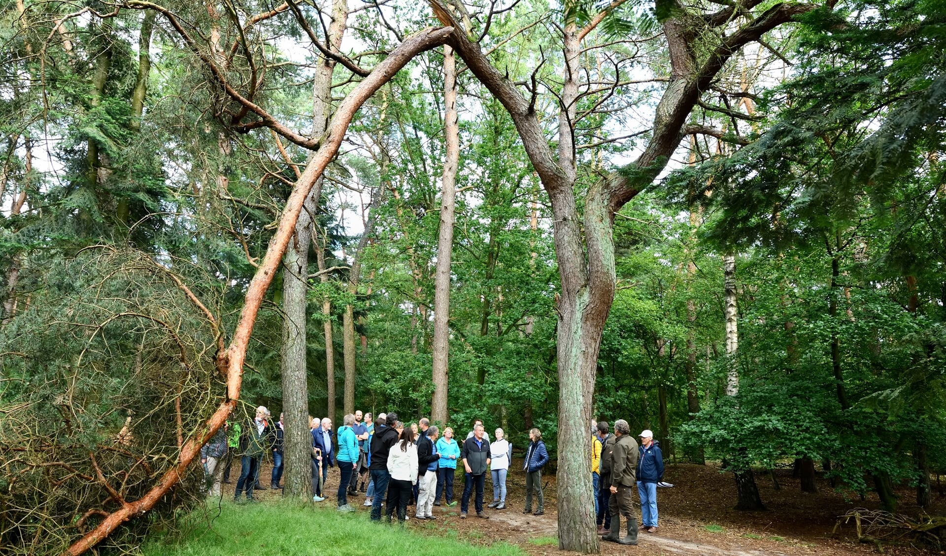 Er was veel belangstelling voor de excursie die eerder dit jaar werd gehouden door Bosgroep Zuid-Nederland (archieffoto)