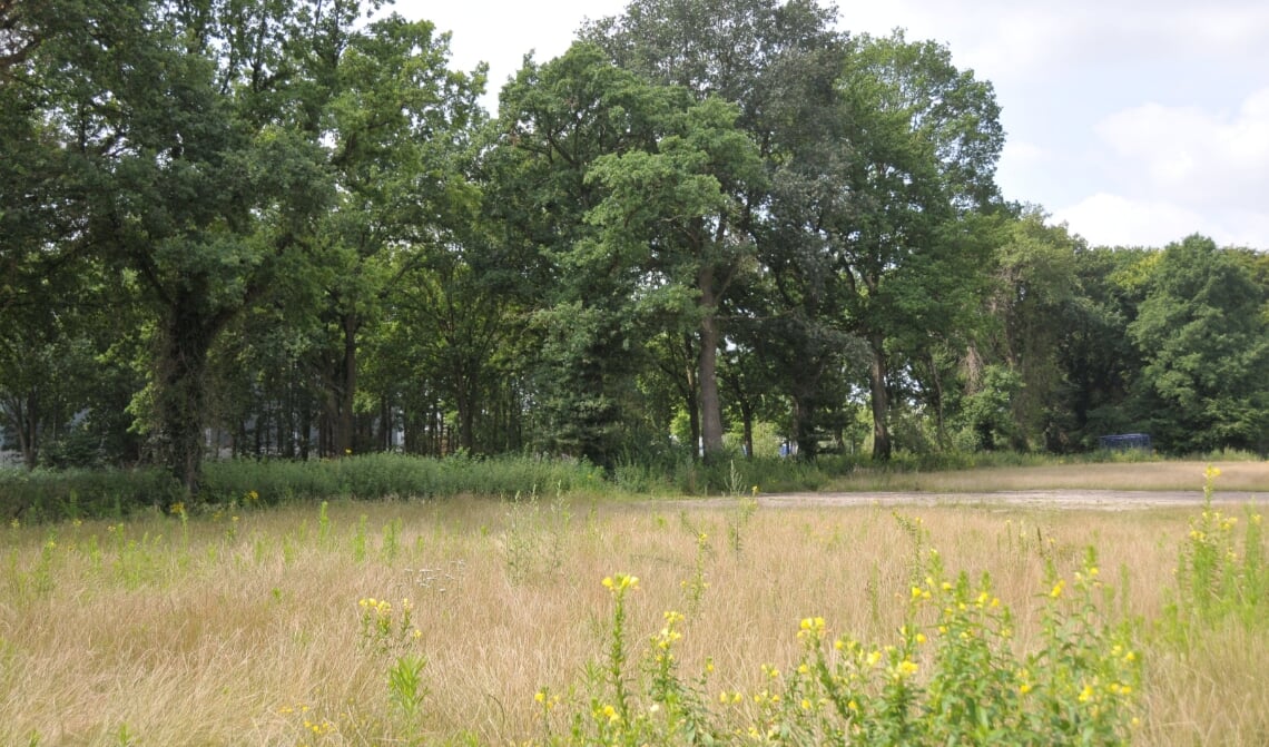 <p>Nog geen besluit over de 13 nieuwbouwwoningen aan de Begoniastraat</p>