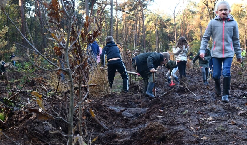 leerlingen van bassischool De Stoklandschool planten bomen op de boomfeestdag in Son en Breugel.