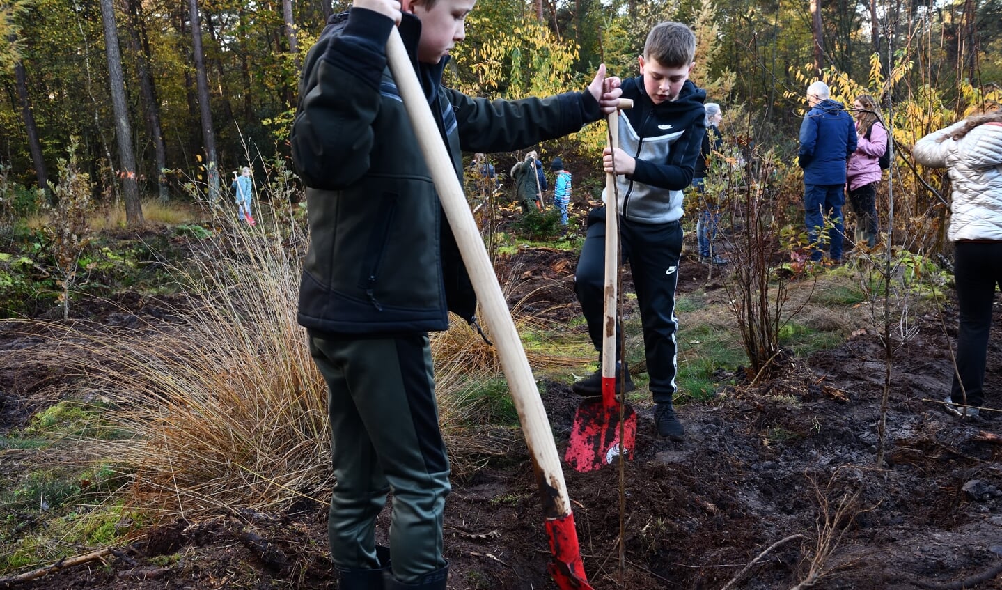 leerlingen van bassischool De Stoklandschool planten bomen op de boomfeestdag in Son en Breugel.
