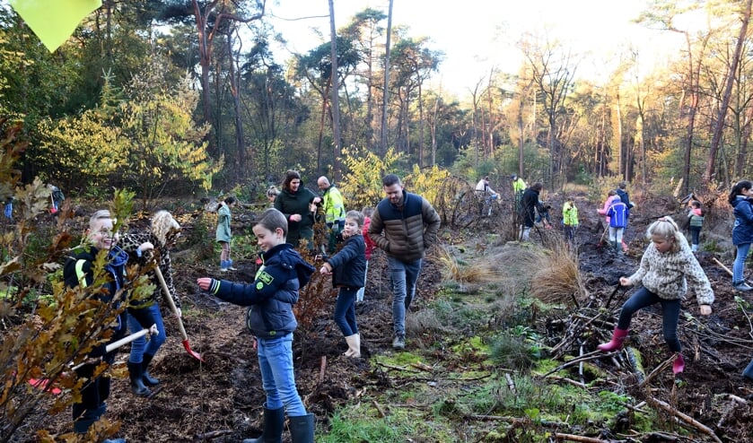 leerlingen van bassischool De Stoklandschool planten bomen op de boomfeestdag in Son en Breugel.