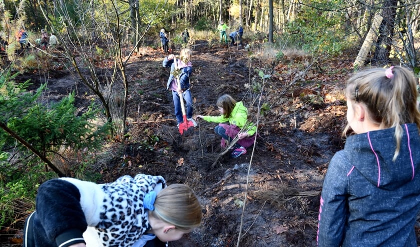Leerlingen van bassischool De Ruimte planten de bomen op de boomplantdag.