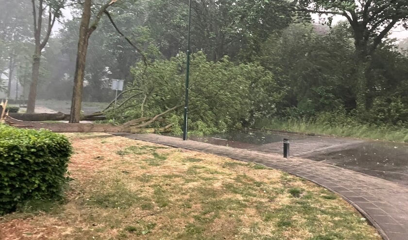 Veel schade na de storm