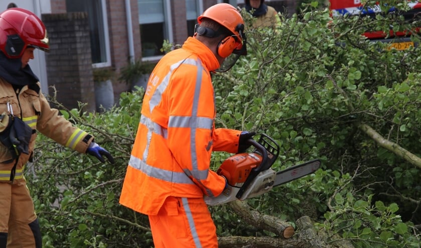 Brandweer in actie tijdens het omzagen van de boom uit voorzorg