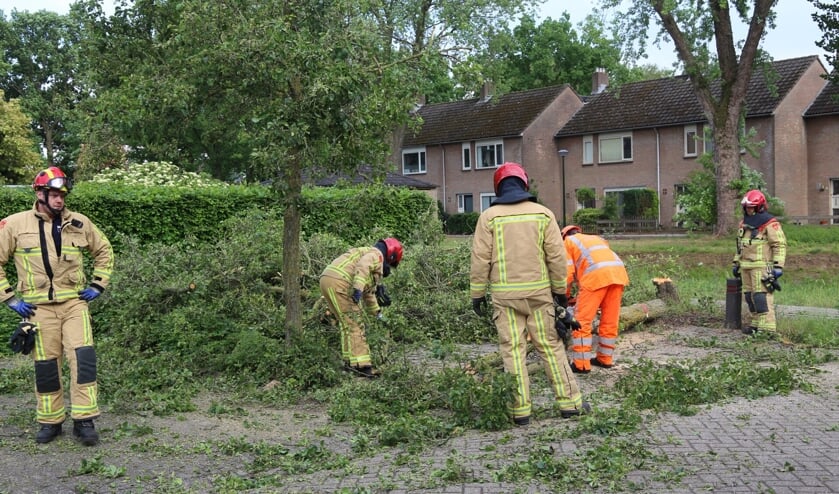 Brandweer in actie tijdens het omzagen van de boom uit voorzorg