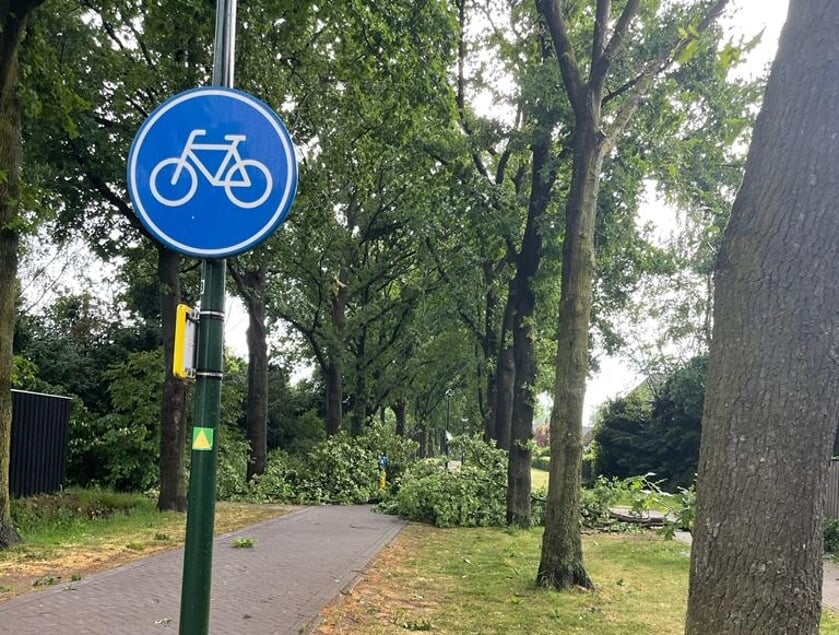 Overal zichtbare schade