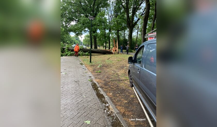 Schade na de storm