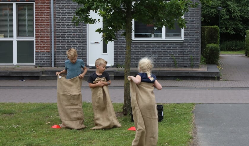 Brinkfeesten bij basisschool De Ruimte