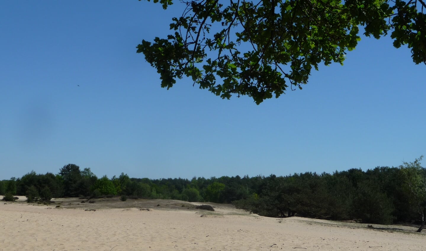 Stuifzand bij het Oud Meer