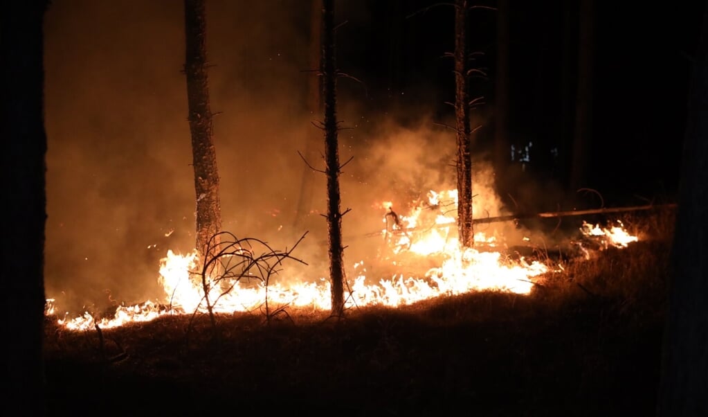 Grote brand in de bossen nabij de Schietbaanlaan in Best