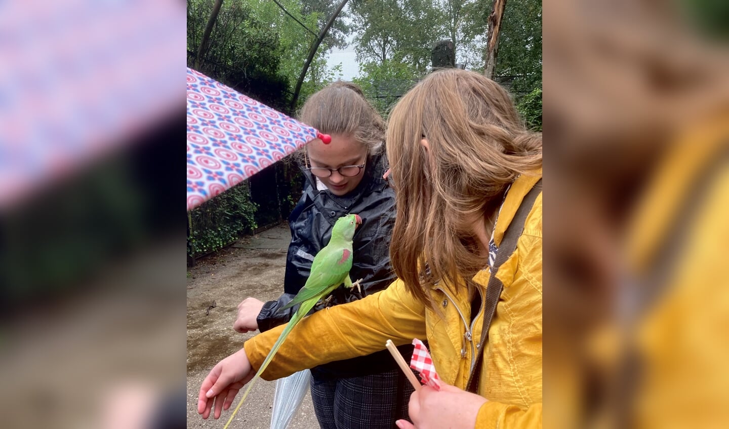 Uitstapje naar het papegaaienpark Zoo Veldhoven