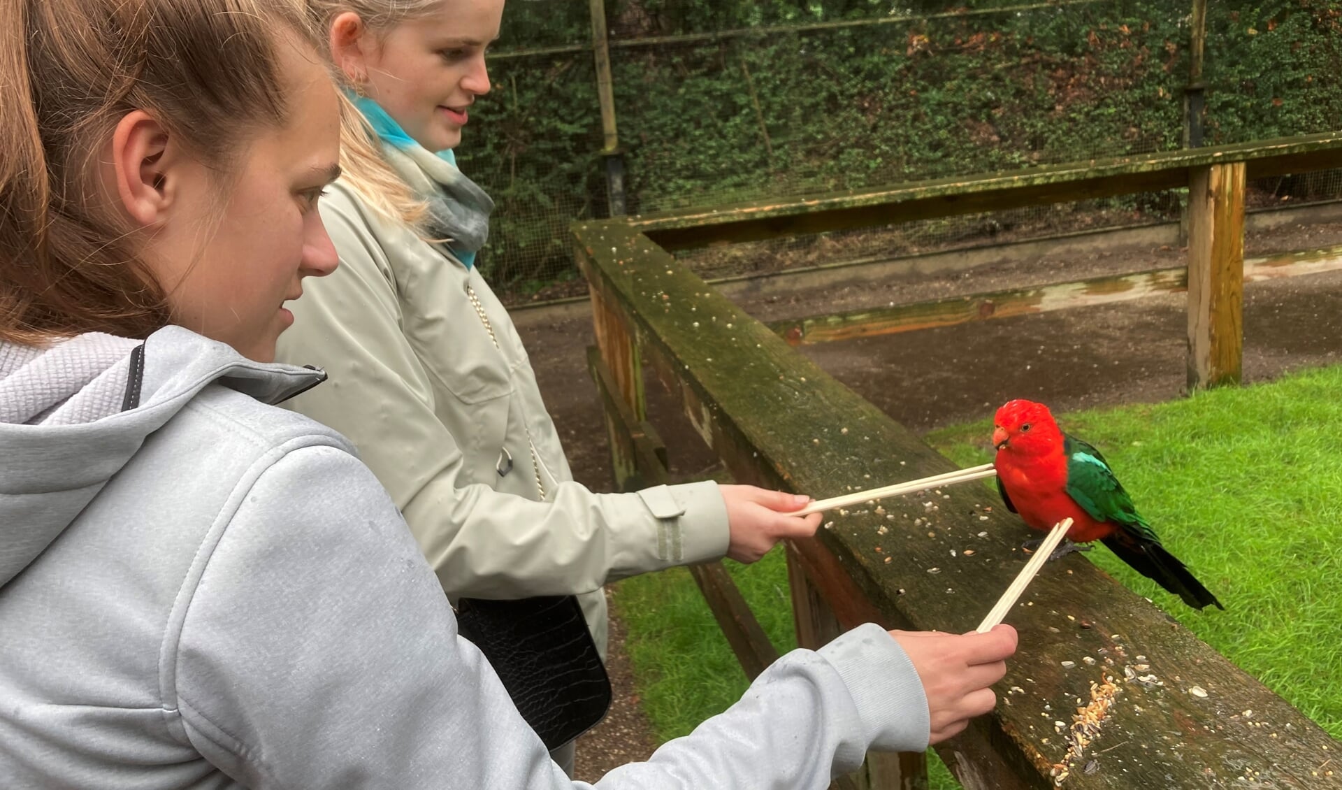 uitstapje naar het papegaaienpark Zoo Veldhoven