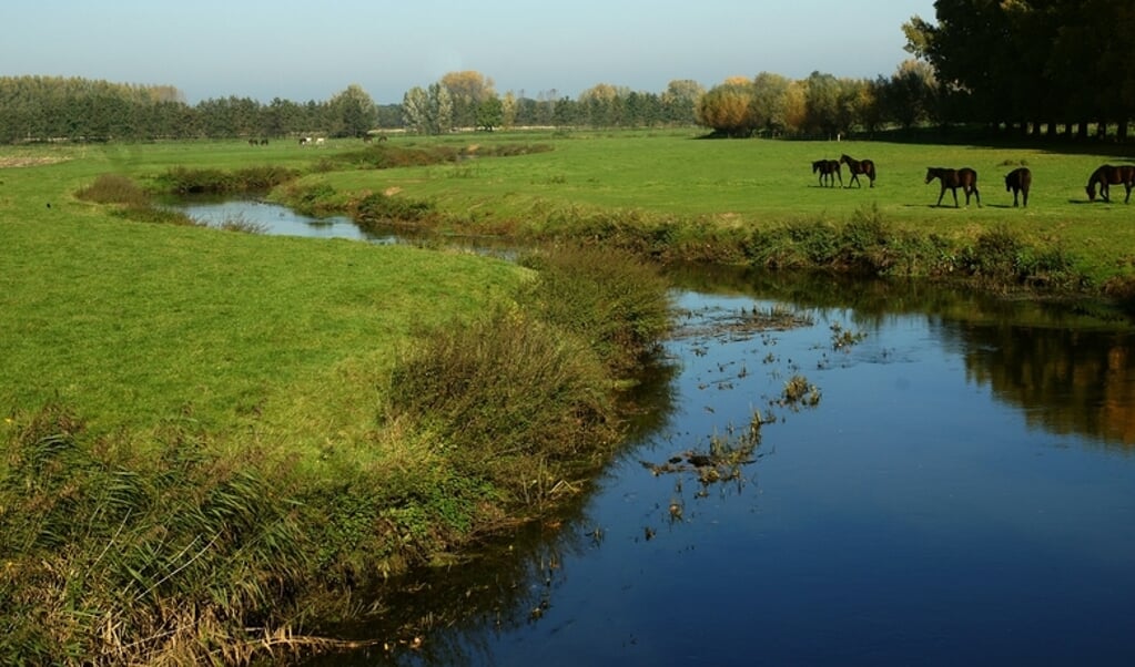 De Dommel gezien vanaf brug Wolfwinkelsebeemden (Foto: Bert Vervoort)