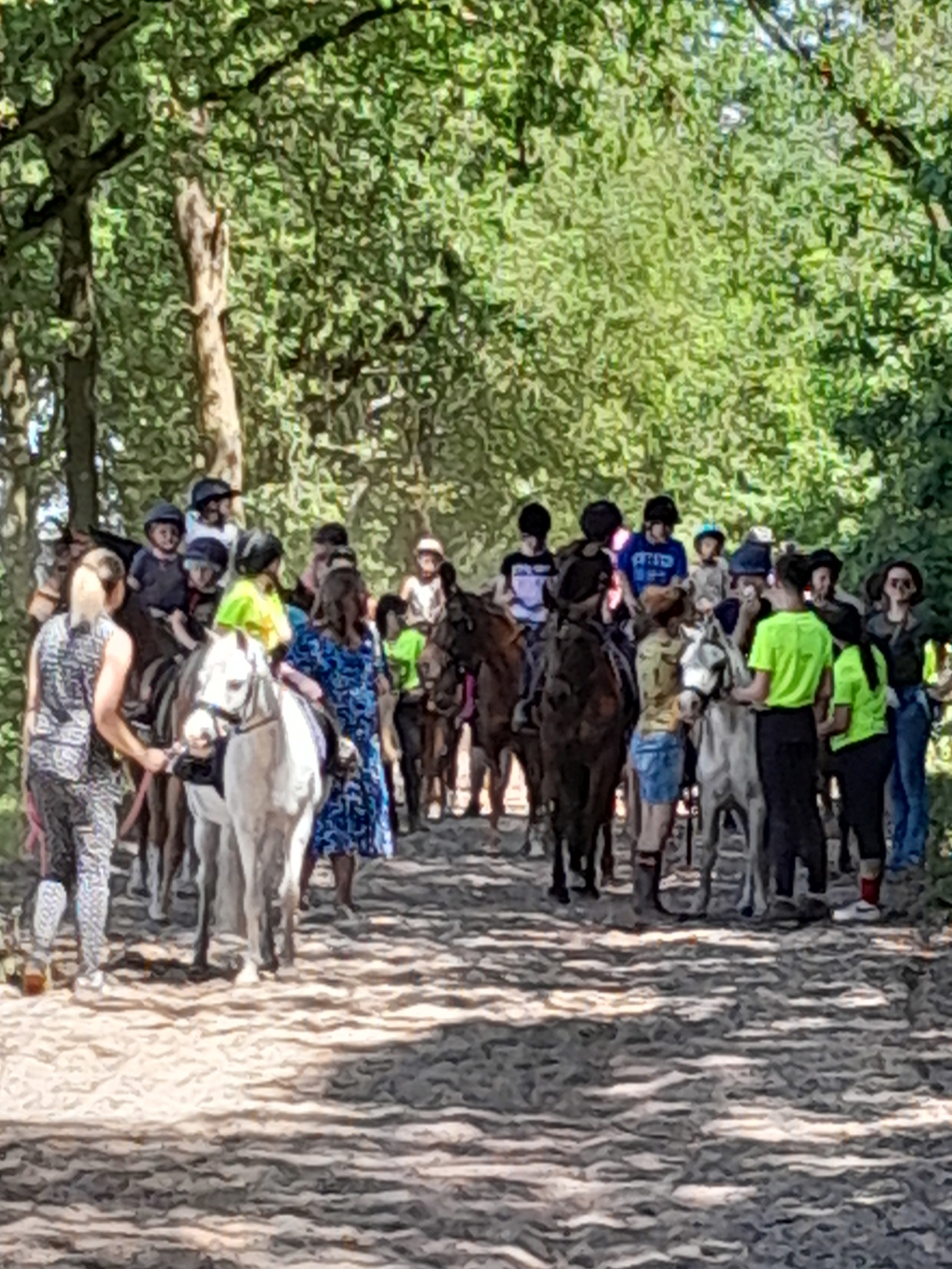 Intensive Care Catharinaziekenhuis te gast op manege Sonniushof
