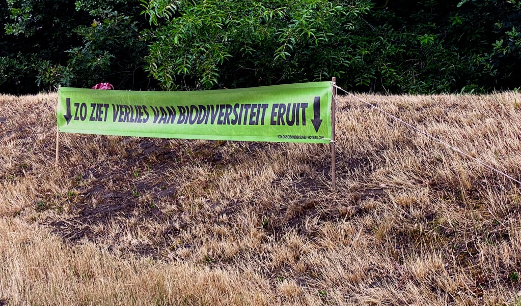 De banner met de tekst: 'zo ziet verlies van biodiversiteit eruit' in de gemaaide berm