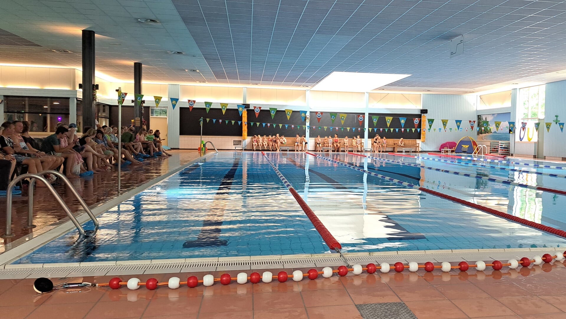 Diplomazwemmen in het zwembad van Son en Breugel