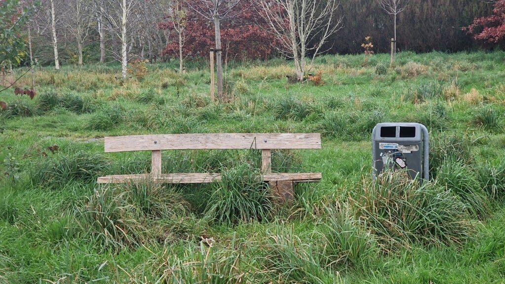 Het park in de wijk Sonniuspark, zoals het er nu bijligt