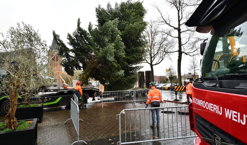 Een bijzonder kerstboom op het plein