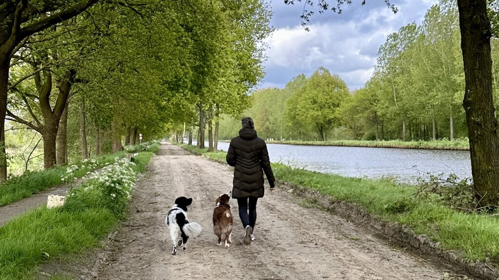 Annemieke met haar honden Bubba en Indy langs het kanaal in Son en Breugel