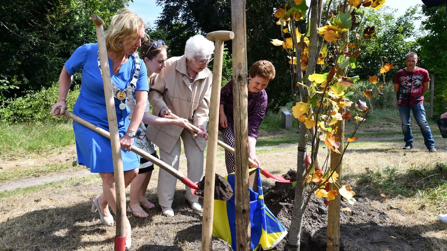 De toen 100-jarige Bep Veldhoen-Snikkers plantte op 23 augustus 2024 samen met burgemeester Suzanne Otters-Bruijnen nog haar tulpenboom op Vroonhovenpark .