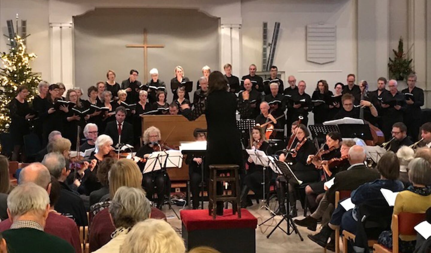 Het orkest bestaad uit musici uit de hele regio. Foto: Nicole Kuechler
