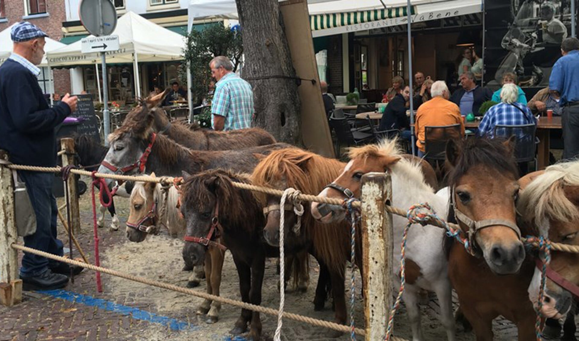 Ook dit jaar verwacht de organisatie weer tientallen paarden op de Voorstraat. Foto: Nelleke de Vries