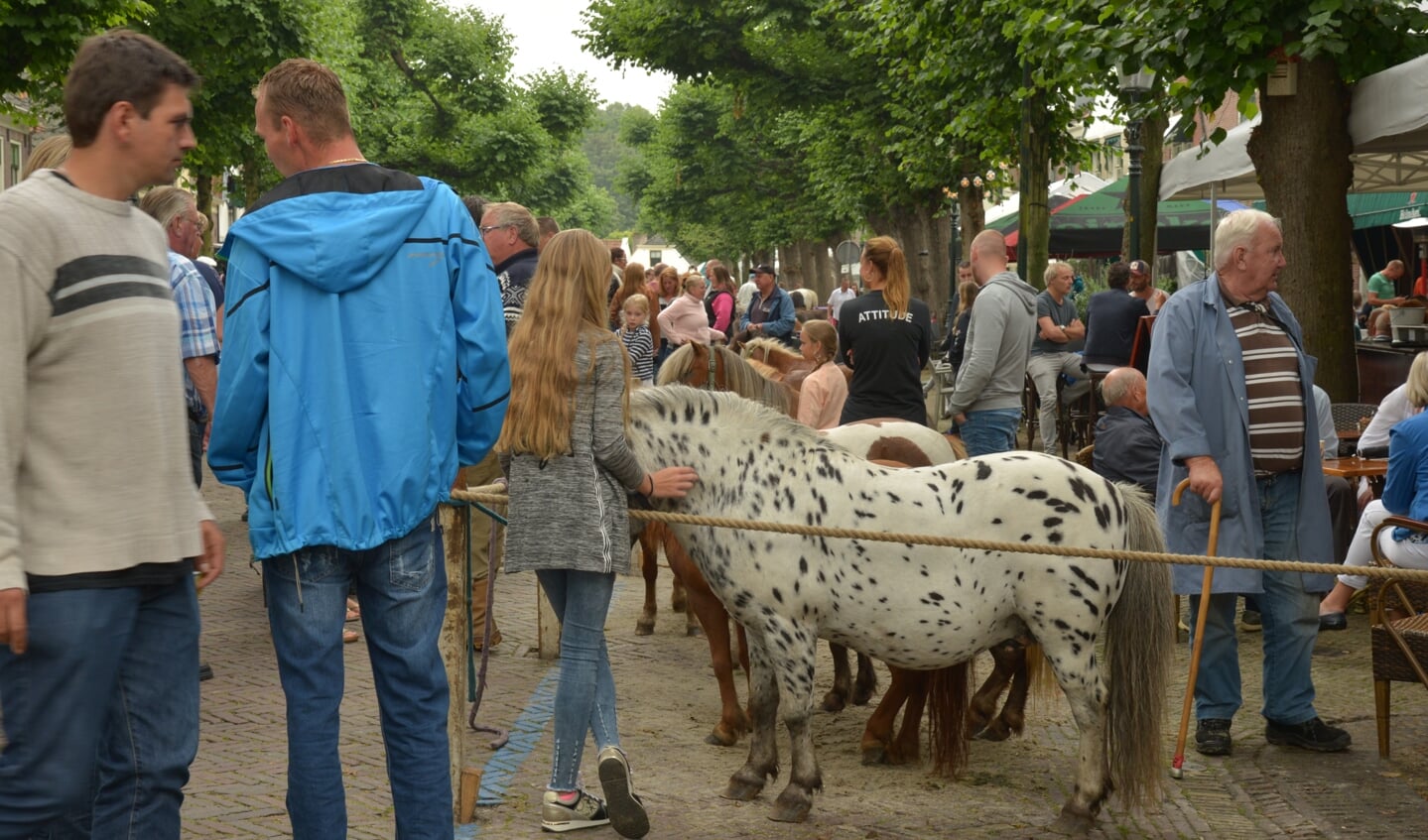 Folklore en handjeklap. De Paardenmarkt trekt jaarlijks bezoekers uit de hele regio. Foto: Nelleke de Vries