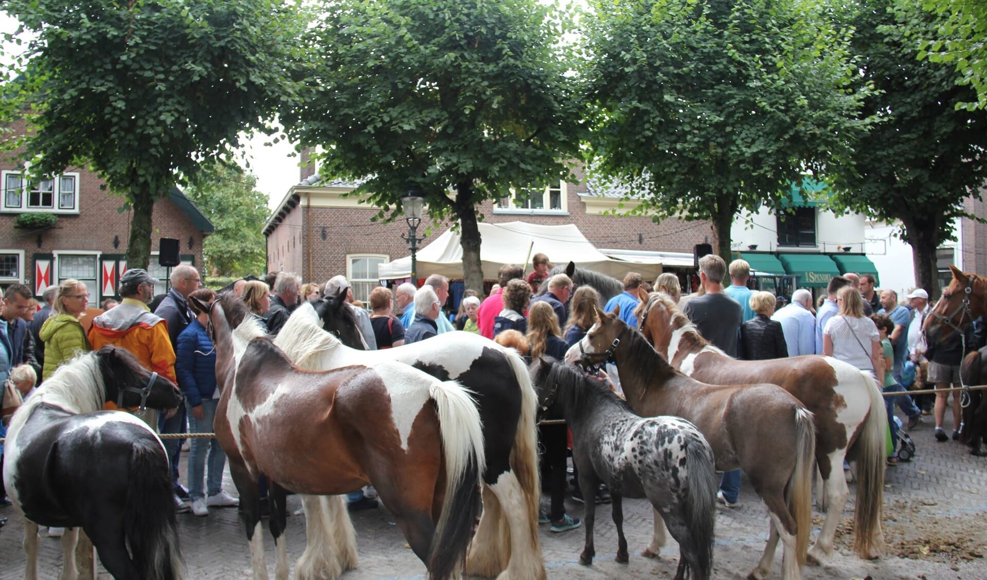 Het wordt bloedheet op Paardenmarkt 2018. Het bestuur beraadt zich op maatregelen. Foto: facebook Paardendagen