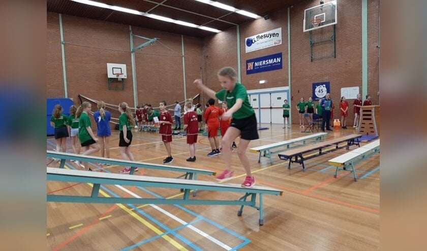 Tekst en foto's: Conny van der Krogt