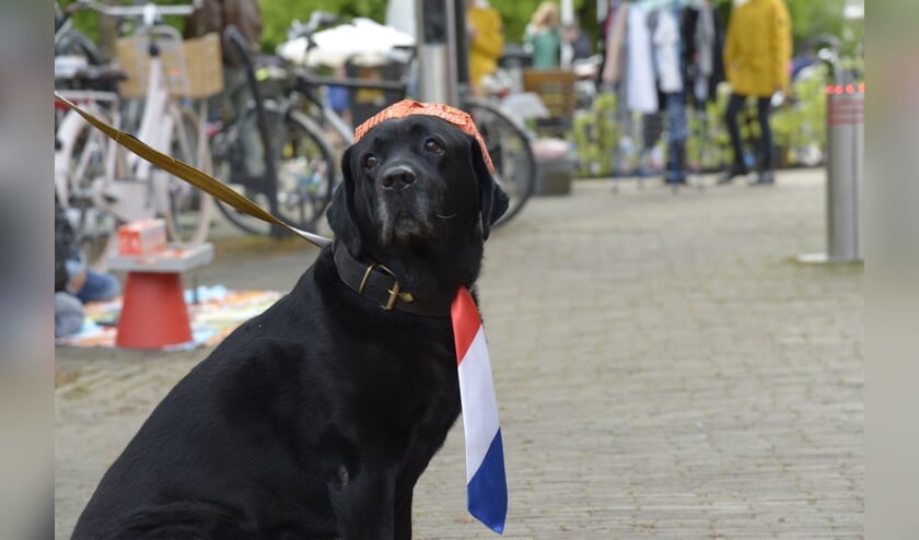 Geen oranjefeest dit jaar vanwege het coronavirus. Foto: Nelleke de Vries