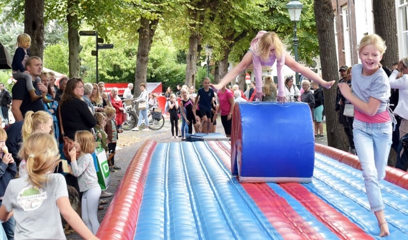 De verenigingen bieden een interactief programma. Wie durft? Kijken mag ook! Foto: Nelleke de Vries