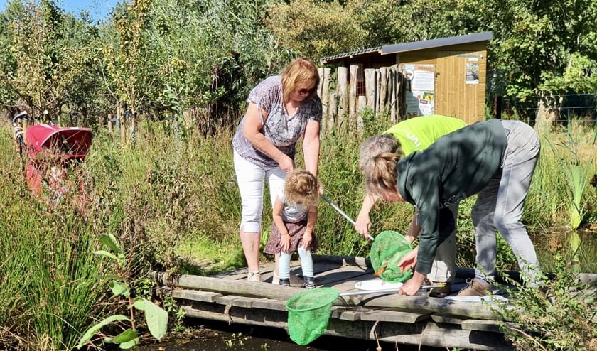 Foto's: Natuurspeeltuin