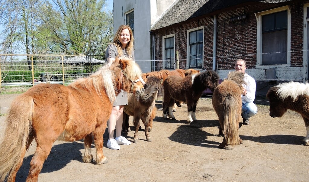 Rob en Wendy zetten zich in voor het redden van pony's en veulens, u kunt meehelpen door donateur te worden. Foto: Vsk