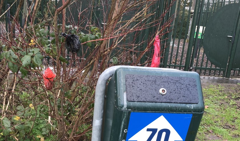 Foto: ingezonden NN