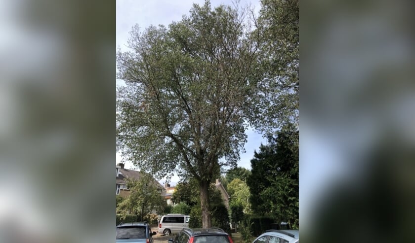 Foto: Gemeente Voorschoten