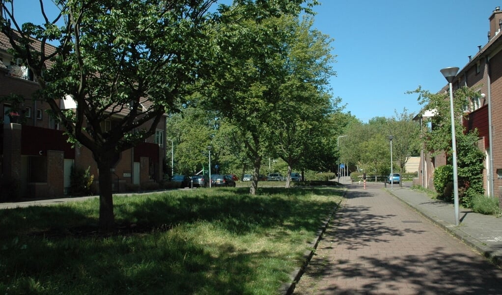 De bomenmotie van GroenLinks, CDA en D66 werd door de gemeenteraad aangenomen. Er komen jaarlijks 20 bomen bij