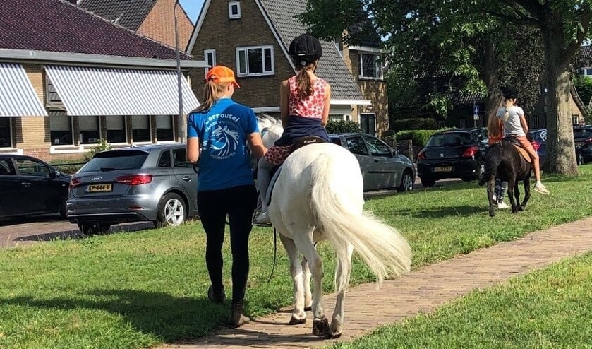 <p>Op woensdag 11 augustus kun je pony rijden bij de bibliotheek </p>