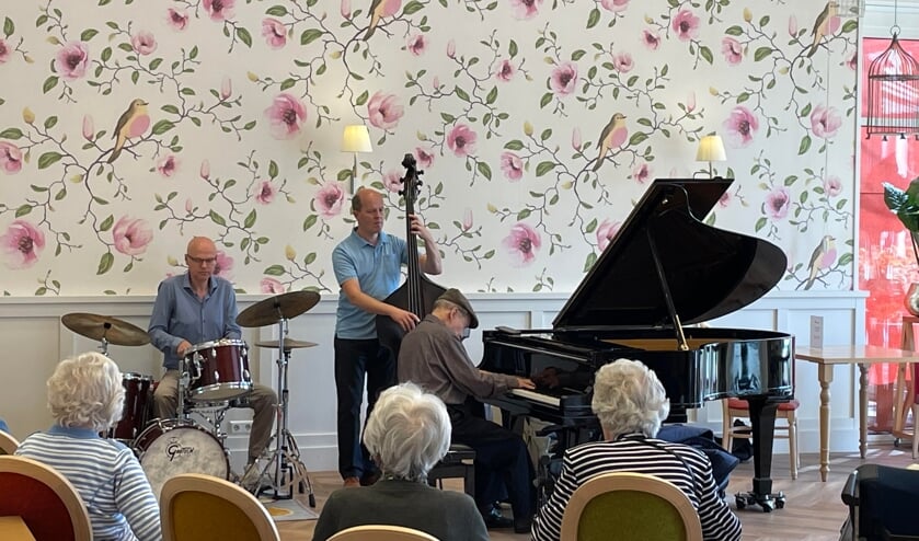 <p>Trio Agerbeek/Klapwijk/Albjerg gaf een concert in Adegeest. Foto: PR</p>