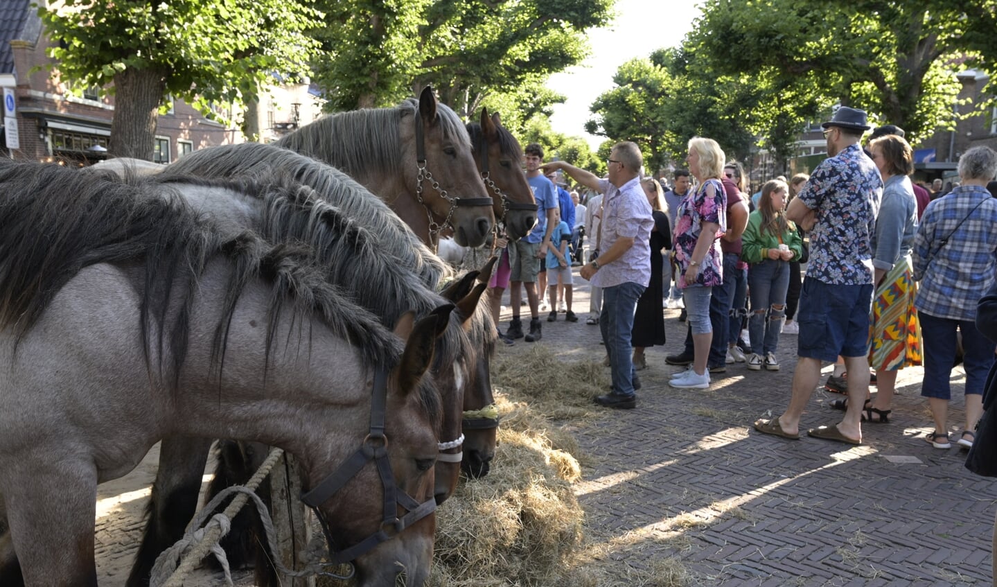 Zo'n 80 paarden op de paardenmarkt. Genieten voor het publiek.