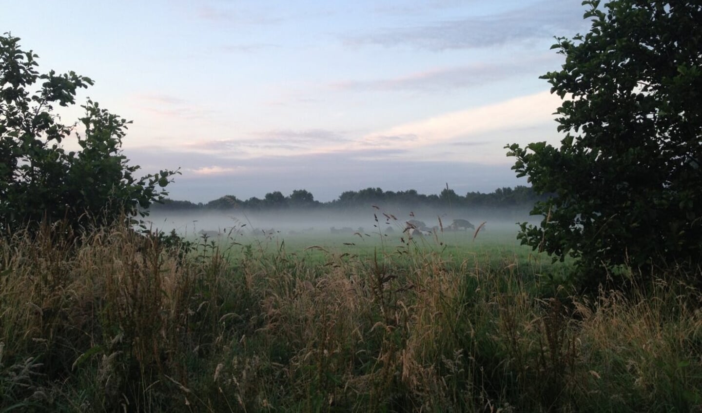 Op 16 oktober vertelt ecoloog Kees Vertegaal over Polderpark Cronesteyn