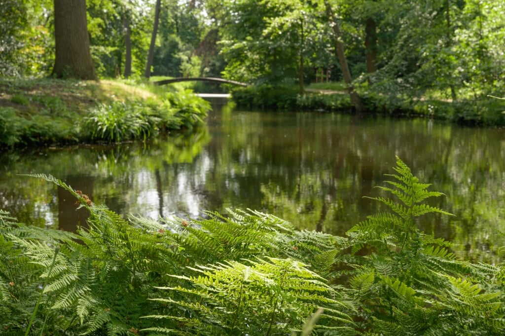 Het park van Berbice is alleen toegankelijk voor leden van de Stichting Het Zuid-Hollands Landschap. Foto: Nelleke de Vries 
