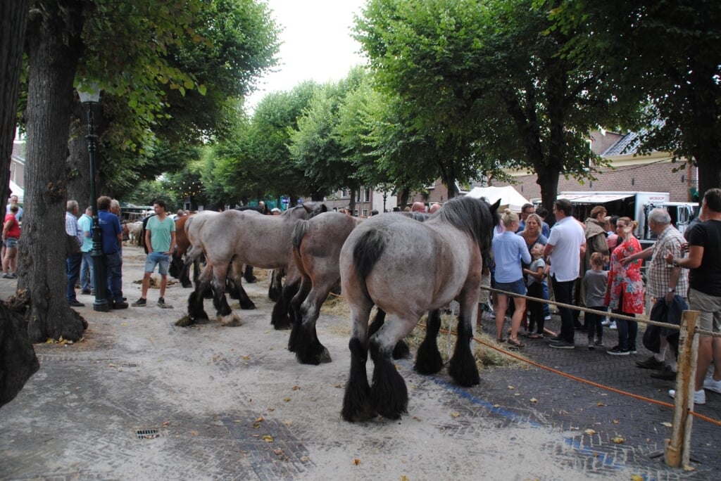 De Voorschotense Paardenmarkt, nu onderdeel van de Voorschotense Paardendagen. Foto: Hans Timmerman