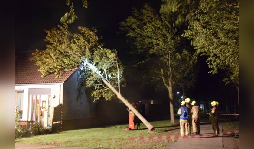 ZIERIKZEE - Dinsdagavond 25 augustus rond 22.10 uur is een boom aan de Graspieperstraat in Zierikzee tegen een woning omgewaaid. De brandweer heeft door middel van een hoogwerker de boom verwijderd en in kleine stukjes gezaagd. De woning liep lichte schade op. Er vielen bij het incident geen gewonden. Vermoedelijk heeft de harde wind er voor gezorgd dat de boom tegen de woning heeft kunnen belanden.