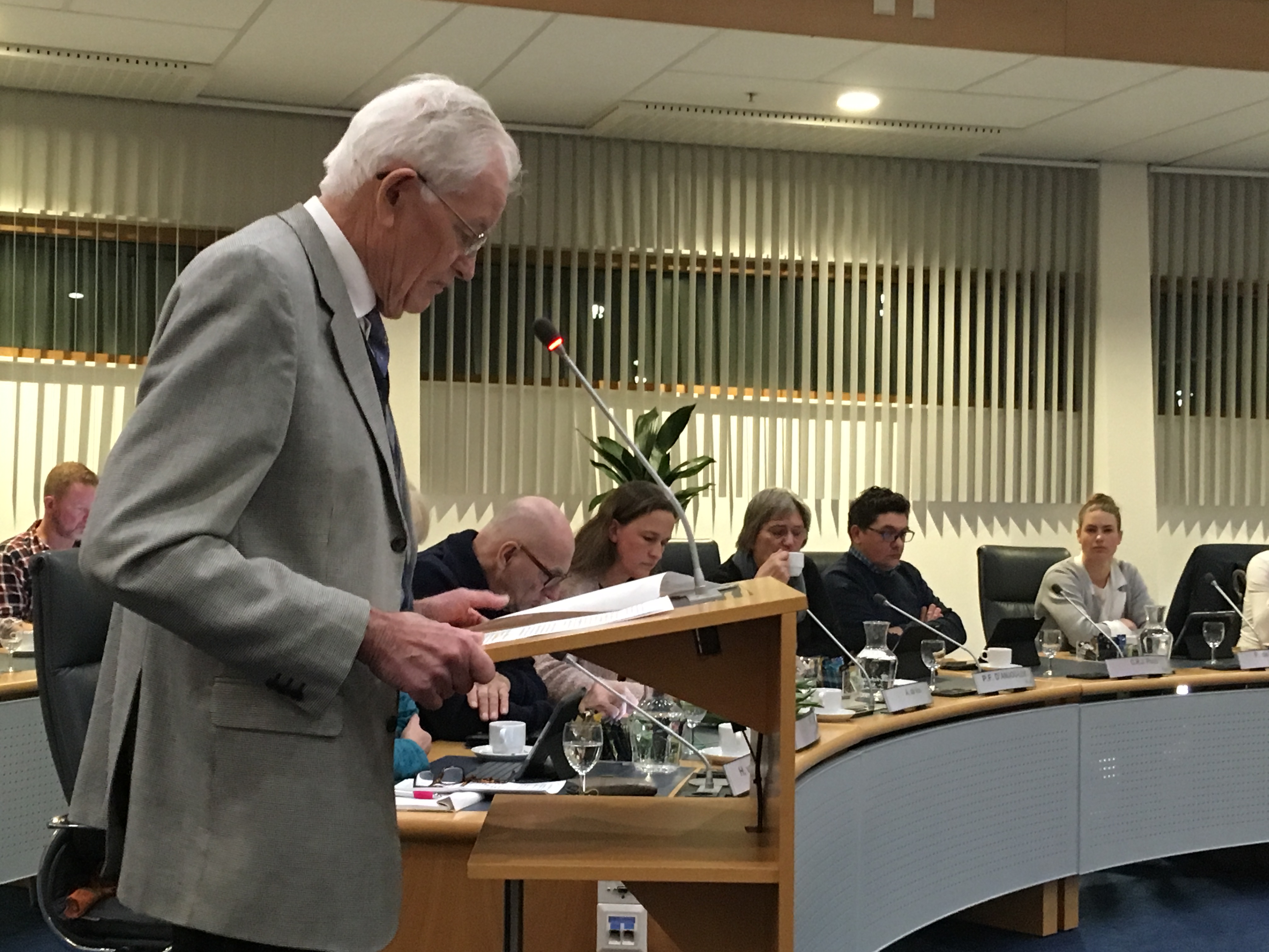 'De Dreef in Renesse moet groen blijven'