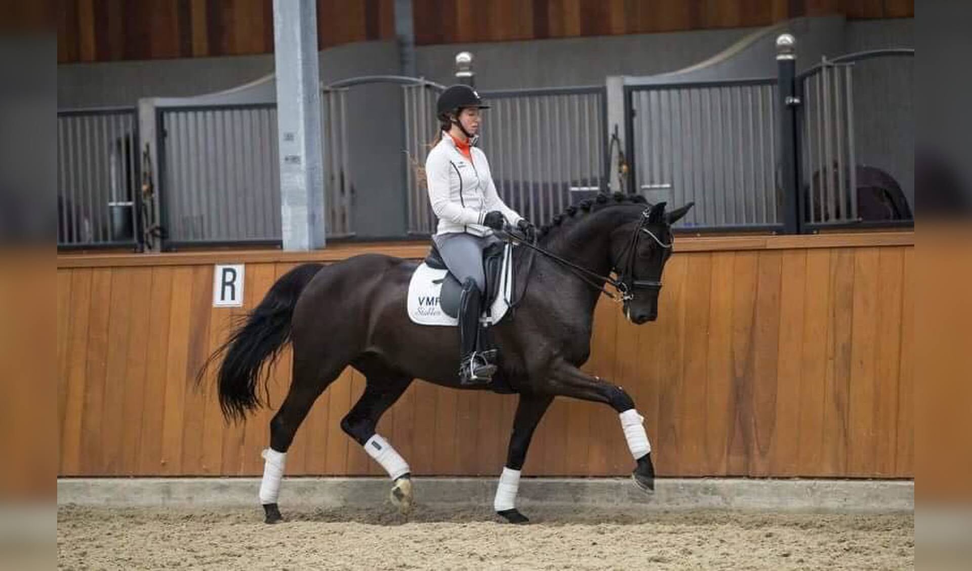 Zware Tour Oudjaarsconcours prooi voor De Frel