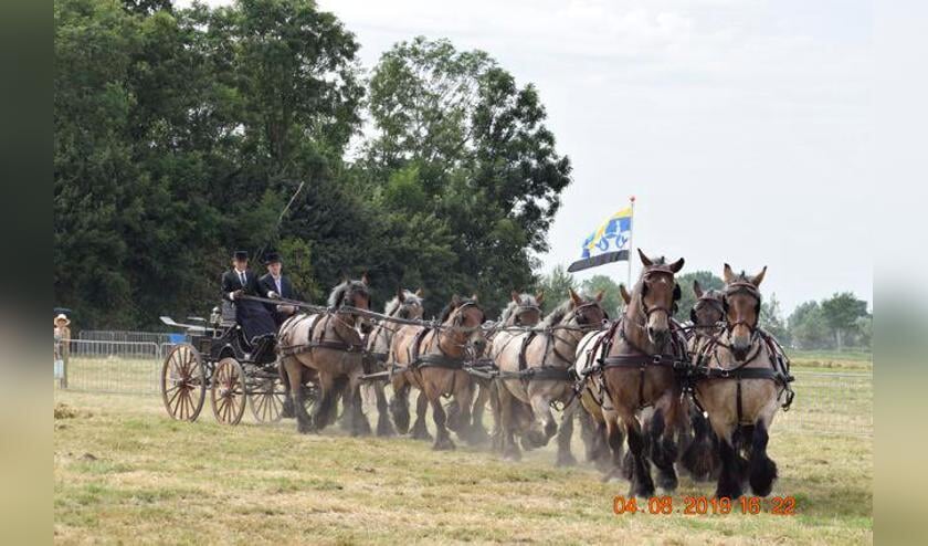 Rond vierduizend mensen genieten van PHC in Noordwelle