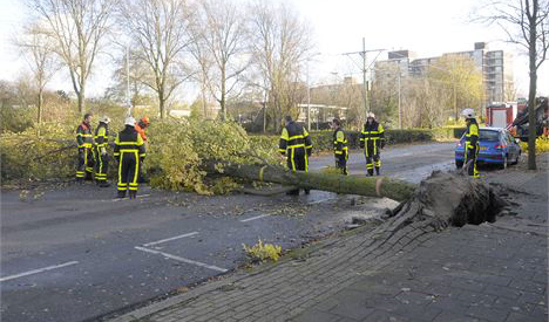 De brandweer zaagde de boom in stukken (foto: Michel Groen).