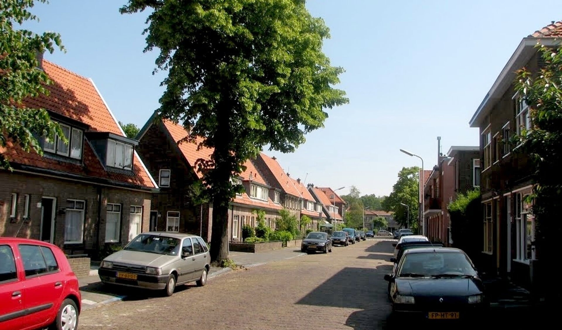 De bomen in de Laan van Haagvliet blijven behouden (archieffoto PR).